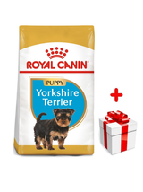 ROYAL CANIN Yorkshire Terrier Puppy 1,5kg karma sucha dla szczeniąt do 10 miesiąca, rasy yorkshire terrier + niespodzianka dla psa GRATIS!