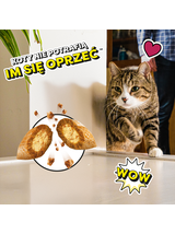 DREAMIES Chrupiące Przysmaki dla Kota o smaku Łososia 180 g