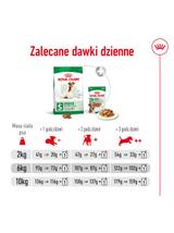 ROYAL CANIN Mini Adult +8  8kg karma sucha dla psów starszych od 8 do 12 roku życia, ras małych