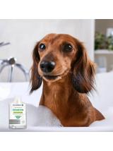 POLIDERM® SZAMPON SASZETKA – pielęgnacja sierści dla psa i kota 15 ml