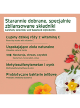 AniForte Przysmak na odporność - przysmak dla psa 50g