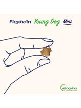 VETOQUINOL Flexadin Young Dog Mini 60 kąsków