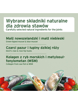 AniForte Stawy - przysmak dla psa - 50g