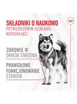 Royal Canin Joint & Ageing Adult Chews 240g