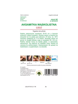 Aksamitka wąskolistna Lulu - cytrynowo-żółta