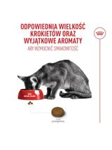 ROYAL CANIN Fussy  Exigent 4kg karma sucha dla kotów dorosłych, wybrednych