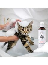 PETS “Lśniący Wąsik” – Pakiet Dla Właścicieli Kotów