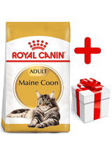 ROYAL CANIN Maine Coon Adult 10kg + niespodzianka dla kota GRATIS!