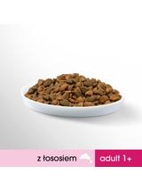 PERFECT FIT (Adult 1+) 3 x 750g Bogaty w łososia - sucha karma dla kotów dorosłych