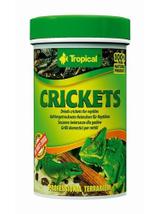 TROPICAL Crickets 100ml