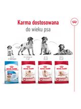 ROYAL CANIN®   Medium Adult 15kg karma sucha dla psów dorosłych ras średnich, do 7 roku życia / Opakowanie uszkodzone (7540,8374,9259,9588,9657) !!!