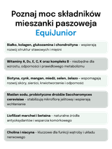 Lab-v EquiJunior Mieszanka paszowa uzupełniająca dla źrebiąt, wspierająca wzrost, rozwój i prawidłowe żywienie młodych koni i kucyków 2000g