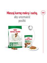 ROYAL CANIN Mini Adult 800g karma sucha dla psów dorosłych, ras małych + niespodzianka dla psa GRATIS