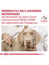 ROYAL CANIN Dog Gastro Intestinal Low Fat 11,8 kg sucha karma o obniżonej zawartości tłuszczu dla psów z zaburzeniami żołądkowo-jelitowymi\ Opakowanie uszkodzone (8254) !!!