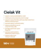 Lab-v Cielak Vit - Mieszanka Paszowa Uzupełniająca Dietetyczna Dla Cieląt Poprawiająca Odporność Organizmu 1kg