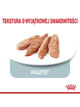 ROYAL CANIN CCN Light Weight Care 12x85g karma mokra - pasztet dla psów dorosłych z tendencją do nadwagi