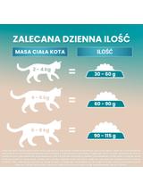 PURINA ONE Bifensis Sterilcat Karma dla kotów dorosłych bogata w wołowinę 6x1,1 kg