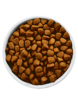 Hill's Prescription Diet Metabolic + Mobility Canine - 12kg/Opakowanie uszkodzone (7287,8014,8203,8212) !!!