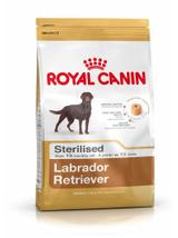 ROYAL CANIN Labrador Retriever Sterilised Adult 12kg + niespodzianka dla psa GRATIS!