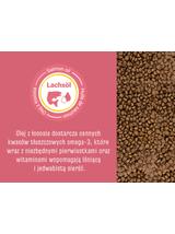 JOSERA JosiCat Kitten 10kg + NIESPODZIANKA DLA KOTA GRATIS!
