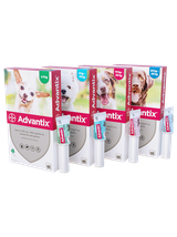 Advantix - dla psów 25-40kg (pipeta 4ml)