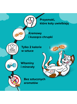 DREAMIES 60g –przysmak dla kota, o smaku wybornego łososia
