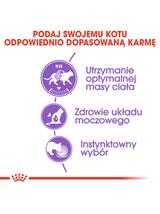 ROYAL CANIN  Sterilised 12x85g karma mokra w galaretce dla kotów dorosłych, sterylizowanych