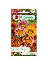 Gazania lśniąca mieszanka (nasiona otarte)