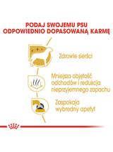 ROYAL CANIN Maltese Adult 500g karma sucha dla psów dorosłych rasy maltańczyk
