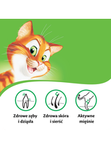 KITEKAT 12kg - sucha karma dla kotów z kurczakiem i warzywami
