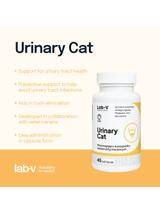 Lab-v Urinary Cat – Wsparcie układu moczowego dla kotów 45 kapsułek
