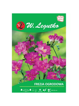 Frezja różowa 10szt.