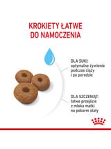 ROYAL CANIN Maxi Starter Mother&Babydog 15kg karma sucha dla suk w ciąży i okresie laktacji oraz szczeniąt, od 4 do 8 tygodnia życia, ras dużych