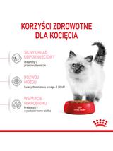 ROYAL CANIN  Kitten 2kg + niespodzianka dla kota GRATIS!