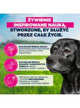 EUKANUBA Mature&Senior Small & Medium Breeds Lamb & Rice 12kg