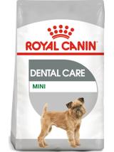 ROYAL CANIN CCN Mini Dental Care 3kg karma sucha dla psów dorosłych, ras małych, redukująca powstawanie kamienia nazębnego