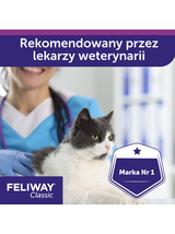 CEVA Feliway dyfuzor i flakonik 48 ml z feromonem F3