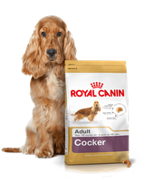 ROYAL CANIN Cocker Spaniel Adult 12kg karma sucha dla psów dorosłych rasy cocker spaniel + niespodzianka dla psa GRATIS!