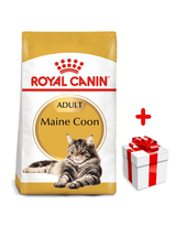 ROYAL CANIN Maine Coon Adult 4kg karma sucha dla kotów dorosłych rasy maine coon + niespodzianka dla kota GRATIS!