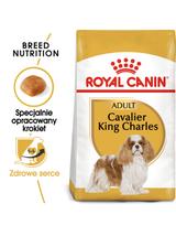 ROYAL CANIN Cavalier King Charles Spaniel Adult 1,5kg karma sucha dla psów dorosłych rasy cavalier king charles spaniel