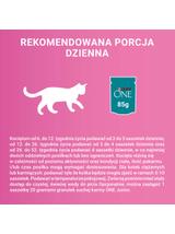 Purina One Junior Karma dla kociąt z łososiem i marchewką 12x85g