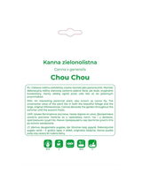 Kanna Chou Chou kremowa 1szt.