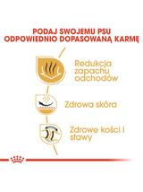 ROYAL CANIN Bulldog Adult 12kg karma sucha dla psów dorosłych rasy bulldog