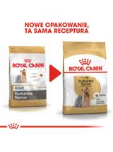 ROYAL CANIN Yorkshire Terrier Adult 500g karma sucha dla psów dorosłych rasy yorkshire terrier