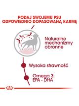 ROYAL CANIN Medium Adult 4kg karma sucha dla psów dorosłych, ras średnich