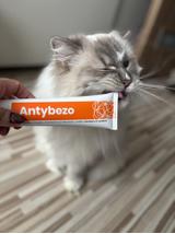 Lab-v Antybezo - pasta ułatwiająca wydalanie kul włosowych z przewodu pokarmowego kota i zapobiegająca ich powstawaniu 100 g