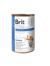 BRIT GF Veterinary Diets Recovery Salmon 12x400g - karma mokra dla psa i kota