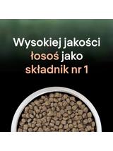 PRO PLAN LiveClear Karma dla dorosłych kotów po zabiegu sterylizacji bogata w łososia 1,4 kg