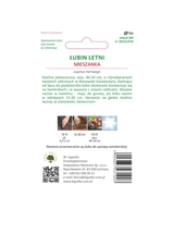 Łubin letni mieszanka