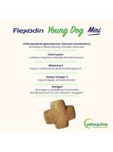 VETOQUINOL Flexadin Young Dog Mini 60 kąsków